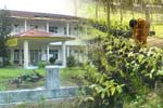 UHAMZAH Medan Nomor 9